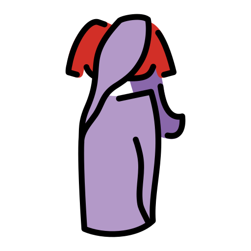 Sari Sari