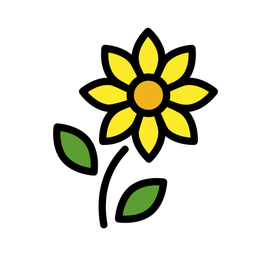 Sonnenblume