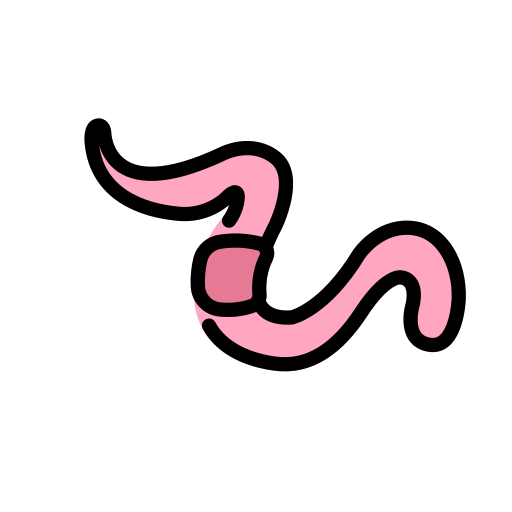 Wurm