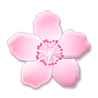Fleur De Cerisier Fleur De Cerisier