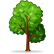Arbre À Feuilles Caduques Arbre À Feuilles Caduques