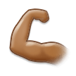 Biceps Contracté: Peau Moyenne Biceps Contracté: Peau Moyenne