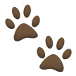 Empreintes D’Animaux Empreintes D’Animaux