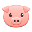 Tête De Cochon Tête De Cochon