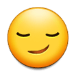 Visage Avec Un Sourire Malin Visage Avec Un Sourire Malin
