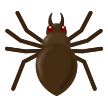 Araignée Araignée