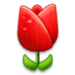 Tulipán Tulipán