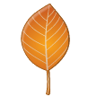 Feuille Morte Feuille Morte