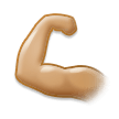Biceps Contracté: Peau Moyennement Claire Biceps Contracté: Peau Moyennement Claire