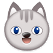 Chat Qui Sourit Chat Qui Sourit