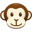 Tête De Singe Tête De Singe