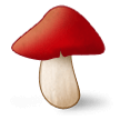 Champignon Champignon