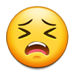 Visage Persévérant Visage Persévérant