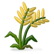 Plant De Riz Plant De Riz