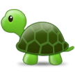 Tortue Tortue