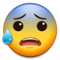 Faccina Sudata In Ansia