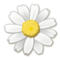 Fiore