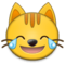 Gatto Con Lacrime Di Gioia