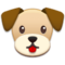 Muso Di Cane