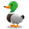 Anatra