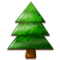 Albero Sempreverde