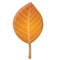 Foglia Caduta