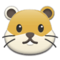 Criceto