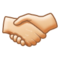Stretta Di Mano: Carnagione Chiara