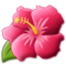 Ibisco
