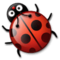 Coccinella