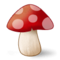 Fungo