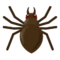 Ragno