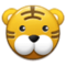 Muso Di Tigre