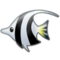 Pesce Tropicale