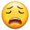 Faccina Esausta