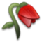 Fiore Appassito