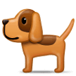 Hund