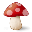 Svamp