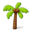 Palm