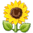 Solros