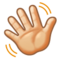 Vinkande hand: Ljus Hudton