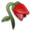 Vissnad blomma