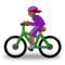 Kvinna som cyklar: Mellanmörk Hudton