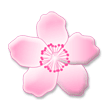 चेरी ब्लॉसम