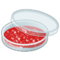 पेट्री डिश