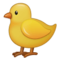 Küken Küken