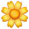 Gelbe Blüte Gelbe Blüte