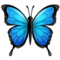 Schmetterling Schmetterling
