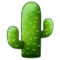 Kaktus Kaktus