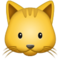 Katzengesicht Katzengesicht
